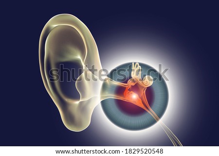 Otitis media, a group of inflammatory diseases of the middle ear, 3D illustration Photo stock © 