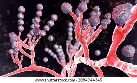 Microscopic fungi Scopulariopsis brevicaulis, 3D illustration. Fungus that infects nails, causes subcutaneous and invasive infections, endocarditis, sinusitis, disseminated infection Foto d'archivio © 