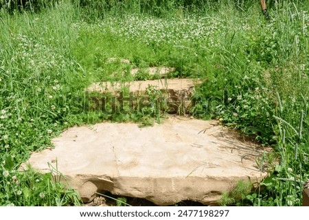 Similar – Image, Stock Photo Path through overgrown stone gate