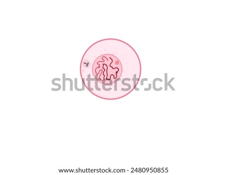 Similar – Image, Stock Photo Not visible at first sight, but the light makes the grimace visible