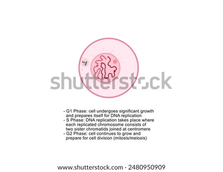 Similar – Image, Stock Photo Not visible at first sight, but the light makes the grimace visible