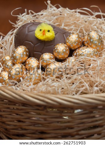 Chick in a Easter Basket full of Easter Eggs