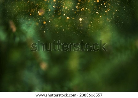 Similar – Image, Stock Photo christmas tree, defocused