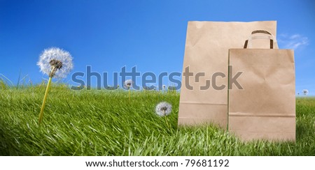 Empty paper supermarket bags on green grass
