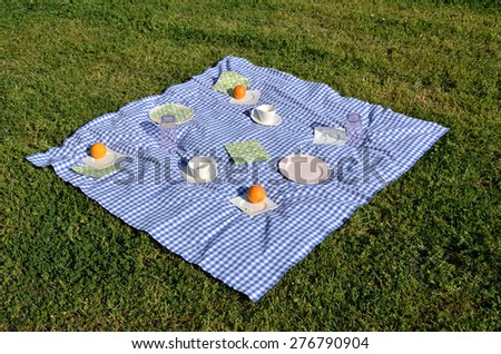 Blue and white tablecloth with porcelain dishes on it set on green lawn