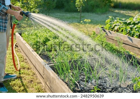 Similar – Image, Stock Photo Raised beds in the garden