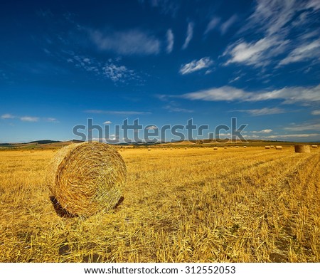 Straw bale on harvested agriculture field.