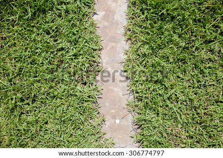 Fresh spring green grass with  concrete ,Live together good