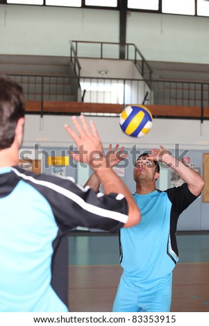 volley-ball player in action