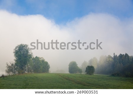 Beautiful summer morning in wood with sun rays and a fog from the river