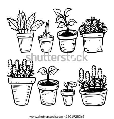 Set of plants in pots hand drawn in doodle style. Flowers with buds and seedlings with leaves planted in containers. Garden decor. Vector line art illustration.