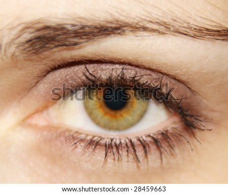 Beautiful woman eye. macro shooting