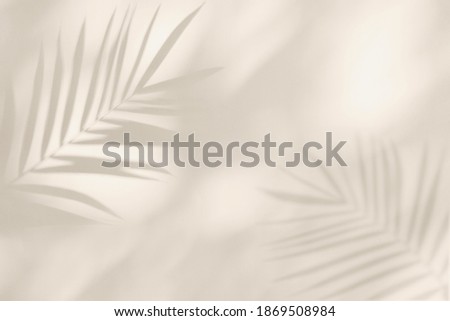 Similar – Image, Stock Photo delicate shades Plant