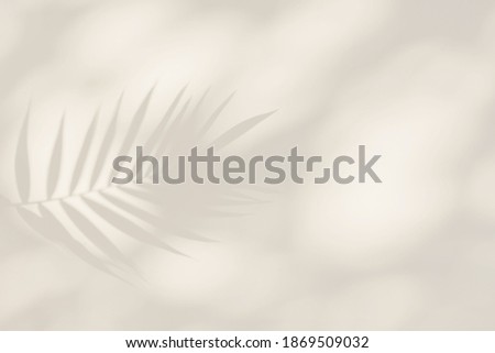 Similar – Image, Stock Photo delicate shades Plant