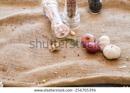 Dry spices/ Red onions , whole organic garlic and  salt -pepper mills   on  Rough Fabric Texture, Pattern, Background