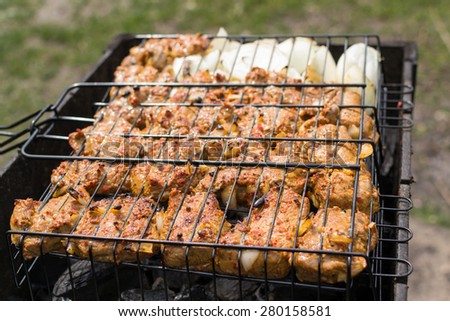 Marinated beef shashlik cooking on an open barbecue fire