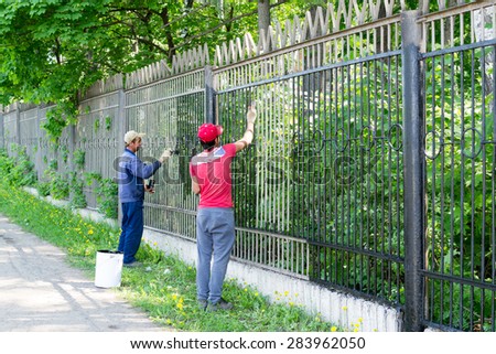 UFA/BASHKORTOSTAN - RUSSIA 30th May 2015 - Two city workers in Ufa Russia concentrating on painting a fence with paint in the summer heat
