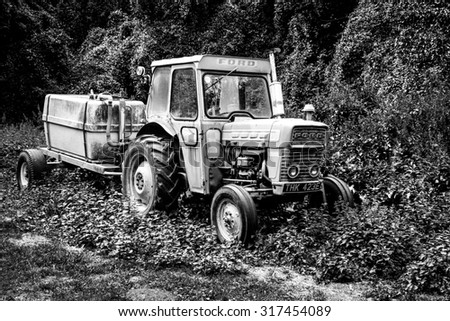 WITHAM - ENGLAND 14TH AUGUST 2015 - Old ford Tractor stands forgotten amoungst a large growth of green vegetation in Witham, Essex during the summer of August 2015
