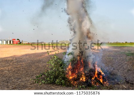 Similar – Image, Stock Photo Fire is burning. Green grass is all around. Wild summer night. Naked blonde girl on the ground. Sexy back and black lingerie. A sensual image is full of lust.