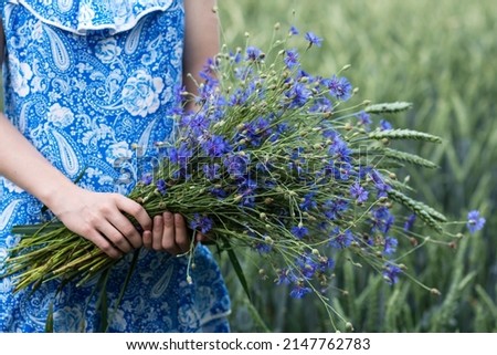 Similar – Image, Stock Photo Blue flowers cornflowers. summer. field with flowers