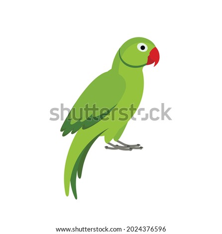green indian necklace parrot on white background