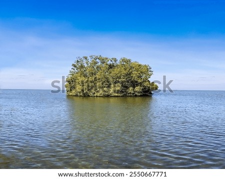 Similar – Image, Stock Photo Green Island Desert dunes