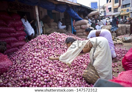 TRICHY, INDIA - AUG 3: Unidentified people segregate onion on August 3, 2012 in Trichy, India. Amongst the onion producing countries in the world India ranks second in area and production.
