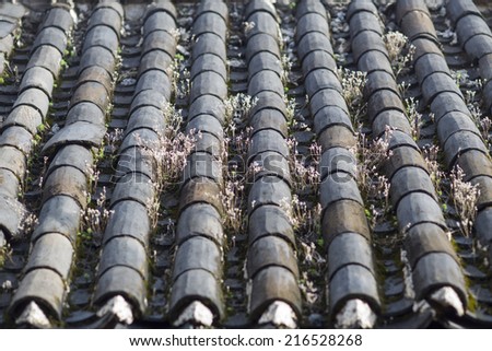 Chinese roof tiles in Lijiang old town in yunnan, China