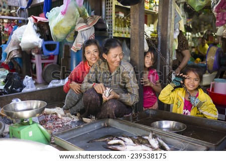 PHNOM PENH, CAMBODIA - NOV 17: The fish seller and her family in Toul Tom Poung Market, Phnom Penh, Cambodia on November 17 2014. It is also called Russian Market which is a good place for souvenirs.
