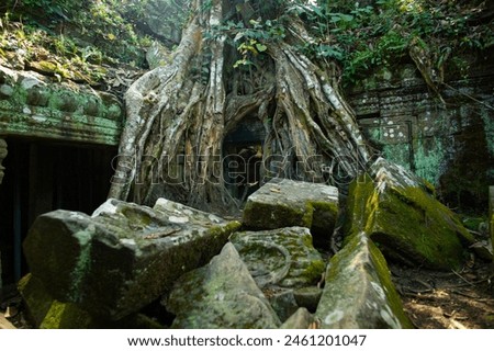 Similar – Foto Bild Baum in Ta Phrom, Angkor Wat, Kambodscha.