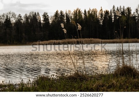 Similar – Image, Stock Photo calm water in Latvian winter / river near my house / the day when ice forming on water / sunrise over land