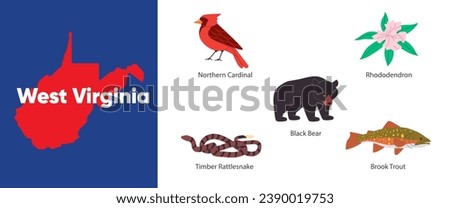 West Virginia states of symbol object timber rattlesnake rhododendron northern cardinal bird bear brook trout America country illustration