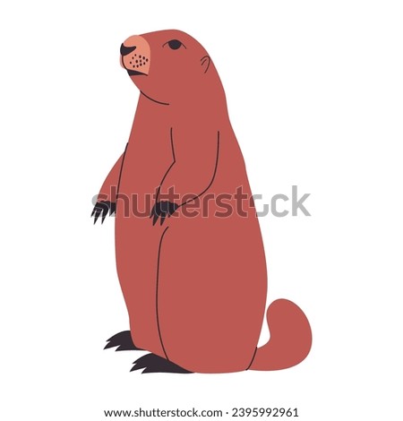 brown color olympic marmot or prairie dog standing pose wild nature rodent and mammal animal