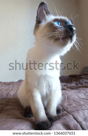 Shutterstock Puzzlepix