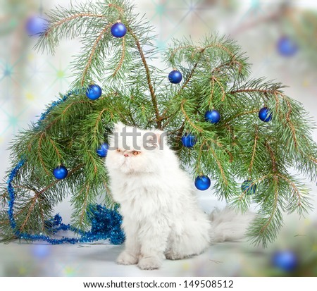 New Year\'s picture - a branch with New Year\'s balls and a  white cat