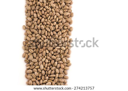 Straight path of pinto beans with white space for copy