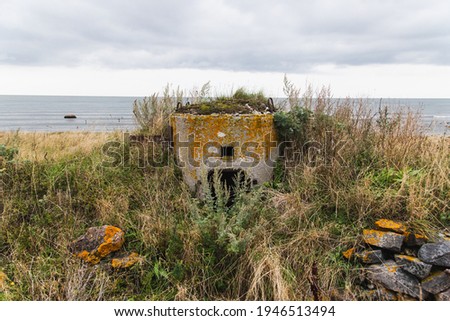 Similar – Image, Stock Photo Bunker remnants with tree remnants