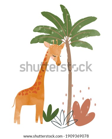 Cute baby giraffe nursery animal isolated illustration for children. Bohemian watercolor boho forest giraffe drawing, vector illustration. Perfect for nursery posters, patterns, wallpapers.