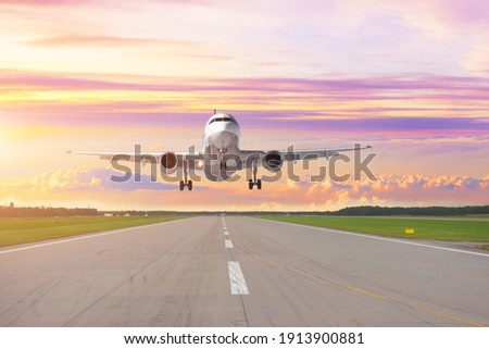 Similar – Image, Stock Photo take off | fly on waves