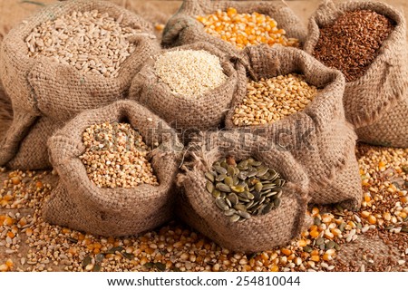Row healthy grain food (corn, sesame, flax, buckwheat, wheat, pumpkin seed) in jute sack.