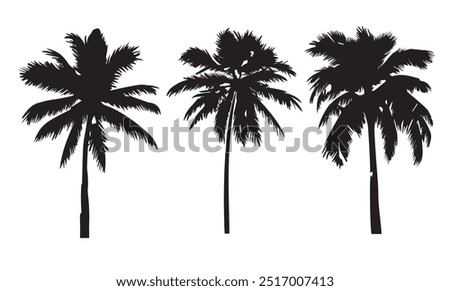 Tropical palm tree vector silhouette. Hand-drawn vector illustration. 