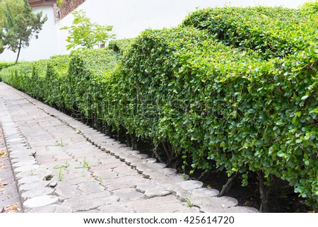 Similar – Image, Stock Photo Wave pruning