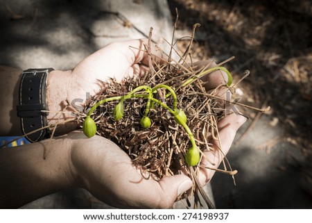 Young man holding young plant in hand,Ecology concept