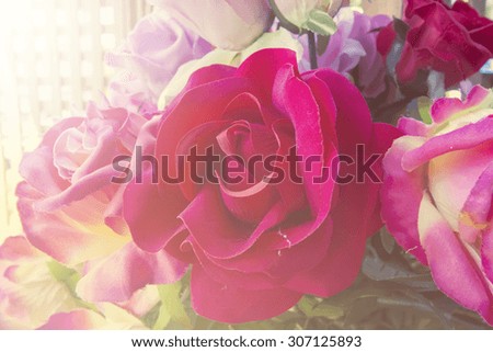 Red roses with sunrise , vintage tone style