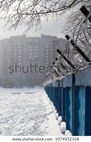 Similar – Foto Bild Raureif am Stacheldraht und am Maschendrahtzaun vor blauem Himmel