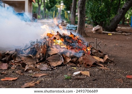 Similar – Image, Stock Photo Fire is burning. Green grass is all around. Wild summer night. Naked blonde girl on the ground. Sexy back and black lingerie. A sensual image is full of lust.
