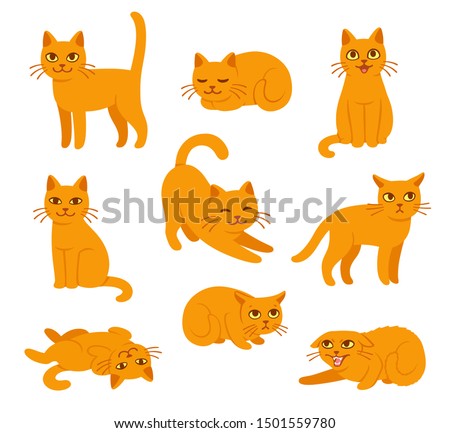 Cartoon cat set with different poses and emotions. Cat behavior, body language and face expressions. Ginger kitty in simple cute style, isolated vector illustration.