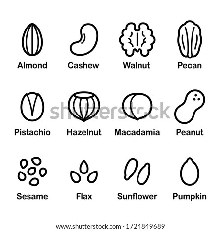 Nuts and seeds icon set. Cartoon line icons, isolated vector clip art illustration.