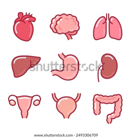 Human internal organs cartoon icon set. Hand drawn doodle illustration with color lines. Isolated vector clip art drawing.