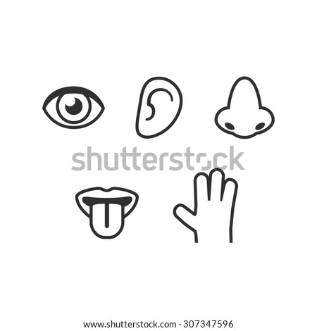 Symbols Of Five Human Senses: Sight, Smell, Hearing, Touch, Taste ...